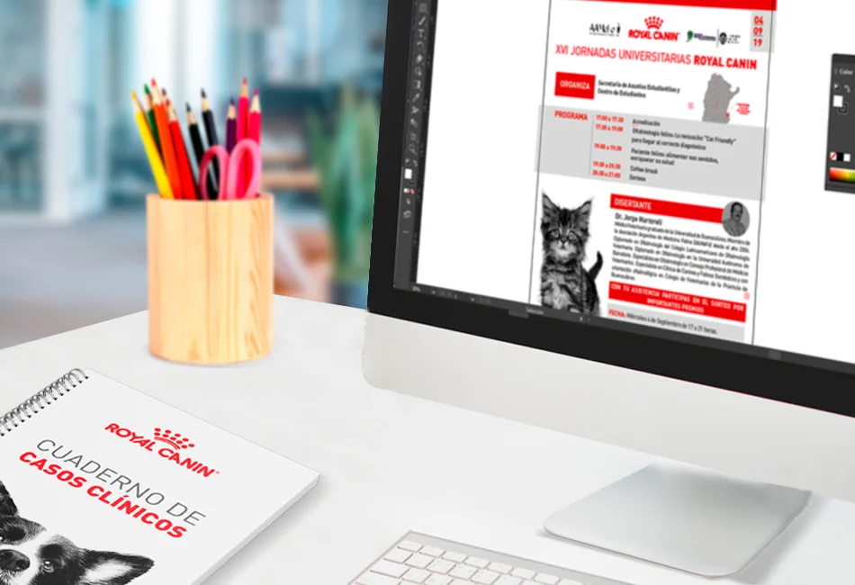 Diseno y Comunicacion